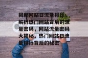 揭秘网站日流量排行，解析热门网站背后的流量密码，网站流量密码大揭秘，热门网站日流量排行背后的秘密