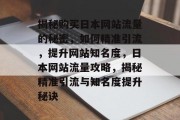 揭秘购买日本网站流量的秘密，如何精准引流，提升网站知名度，日本网站流量攻略，揭秘精准引流与知名度提升秘诀