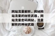 网站流量解析，揭秘网站流量的秘密武器，网站流量密码揭秘，流量解析的神秘武器