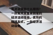 有点资源做什么赚钱？一份高效且富有回报的经济活动指南，高效的赚钱方式，一份经济活动指南