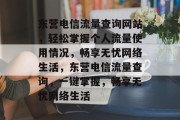 东营电信流量查询网站，轻松掌握个人流量使用情况，畅享无忧网络生活，东营电信流量查询，一键掌握，畅享无忧网络生活