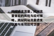 网站透支流量，揭秘流量背后的风险与应对策略，揭秘网站流量透支风险与有效应对之道