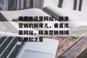 垂直类流量网站，精准营销的新宠儿，垂直流量网站，精准营销领域的崛起之星