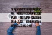 东北药材生意的黄金之路，赚钱与发展的双重机遇，东北药材生意的黄金之路，双重机遇的赚钱与发展之道