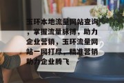 玉环本地流量网站查询，掌握流量脉搏，助力企业营销，玉环流量网站一网打尽，精准营销助力企业腾飞