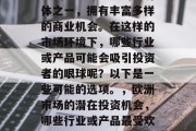 欧洲是全球最大的经济体之一,拥有丰富多样的商业机会。在这样的市场环境下,哪些行业或产品可能会吸引投资者的眼球呢?以下是一些可能的选项。,欧洲市场的潜在投资机会,哪些行业或产品最受欢迎?
