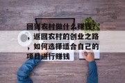 回到农村做什么赚钱？，返回农村的创业之路，如何选择适合自己的项目进行赚钱
