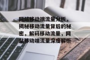网站移动端流量分析，揭秘移动流量背后的秘密，解码移动流量，网站移动端流量深度解析
