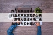 做什么数据赚钱?数据行业未来发展趋势分析,洞察大数据市场,未来趋势与盈利模式