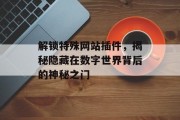 解锁特殊网站插件，揭秘隐藏在数字世界背后的神秘之门