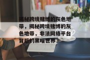 揭秘跨境赌博的灰色地带，揭秘跨境赌博的灰色地带，非法网络平台背后的黑暗世界