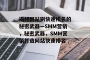 揭秘网站刷快速排名的秘密武器—SMM营销，秘密武器，SMM营销打造网站快速排名