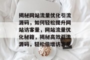 揭秘网站流量优化引流源码，如何轻松提升网站访客量，网站流量优化秘籍，揭秘高效引流源码，轻松倍增访客量