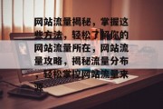 网站流量揭秘，掌握这些方法，轻松了解你的网站流量所在，网站流量攻略，揭秘流量分布，轻松掌控网站流量来源
