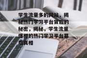学生流量多的网站，揭秘热门学习平台背后的秘密，揭秘，学生流量爆棚的热门学习平台幕后真相