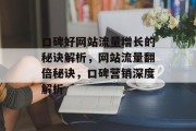 口碑好网站流量增长的秘诀解析，网站流量翻倍秘诀，口碑营销深度解析