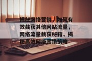 揭秘网络营销，如何有效截获其他网站流量，网络流量截获秘籍，揭秘高效网络营销策略