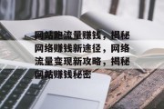 网站跑流量赚钱，揭秘网络赚钱新途径，网络流量变现新攻略，揭秘网站赚钱秘密