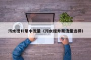 污水提升泵小流量（污水提升泵流量选择）