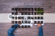 揭秘高效网站流量监控利器，查网站流量的插件全解析，网站流量监控神器大揭秘，查流量插件全面解析