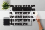 揭秘母婴网站流量出售，如何精准把握市场脉搏，实现盈利增长，母婴网站流量变现攻略，精准洞察市场脉搏，解锁盈利增长之道