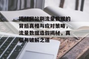 揭秘网站刷流量数据的背后真相与应对策略，流量数据造假揭秘，真相与破解之道