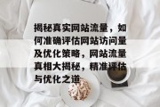 揭秘真实网站流量，如何准确评估网站访问量及优化策略，网站流量真相大揭秘，精准评估与优化之道