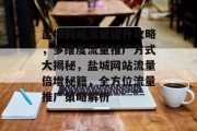 盐城网站流量提升攻略，多维度流量推广方式大揭秘，盐城网站流量倍增秘籍，全方位流量推广策略解析