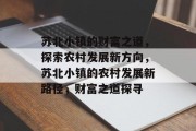 苏北小镇的财富之道，探索农村发展新方向，苏北小镇的农村发展新路径，财富之道探寻