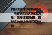 揭秘流量来源网站推荐，助你高效获取精准流量，流量宝藏地图，揭秘高效精准流量获取秘籍