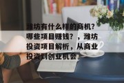 潍坊有什么样的商机?哪些项目赚钱?,潍坊投资项目解析,从商业投资到创业机会