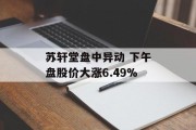 苏轩堂盘中异动 下午盘股价大涨6.49%
