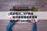 VIP网站视频插件的实战探讨，VIP网站，如何有效地使用视频插件进行SEO优化