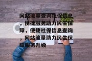 网站流量查询社保信息，便捷服务助力民生保障，便捷社保信息查询，网站流量助力民生保障服务升级