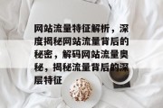 网站流量特征解析，深度揭秘网站流量背后的秘密，解码网站流量奥秘，揭秘流量背后的深层特征