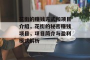 花街的赚钱方式和项目介绍，花街的秘密赚钱项目，项目简介与盈利模式解析