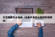 大流量提升止回阀（流量开关和止回阀安装顺序）
