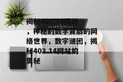 揭秘403.14网站，神秘的数字背后的网络世界，数字谜团，揭秘403.14网站的奥秘