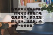 新浪最大流量网站揭秘，如何凭借独特魅力吸引海量用户，新浪流量巨头揭秘，独特魅力吸引用户海量聚集