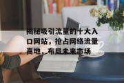 揭秘吸引流量的十大入口网站，抢占网络流量高地，布局未来市场