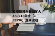 专项债投向领域扩大！A50ETF华宝（159596）盘中波动上扬