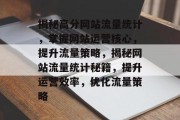 揭秘高分网站流量统计，掌握网站运营核心，提升流量策略，揭秘网站流量统计秘籍，提升运营效率，优化流量策略