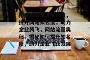 揭秘买网站流量作用，提升网站知名度，助力企业腾飞，网站流量奥秘，揭秘如何提升知名度，助力企业飞跃发展
