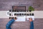 天津网站SEO优化排名，揭秘提升网站流量的秘诀