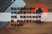 网站流量统计插件，提升网站数据分析效率的利器，数据分析加速神器，网站流量统计插件全面解析