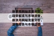新浪月网站流量分析，趋势解读与市场洞察，新浪月网站流量分析，洞察趋势与市场动态