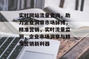实时网站流量查询，助力企业洞察市场脉搏，精准营销，实时流量监测，企业市场洞察与精准营销新利器
