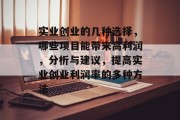 实业创业的几种选择，哪些项目能带来高利润，分析与建议，提高实业创业利润率的多种方法