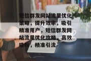 短信群发网站流量优化策略，提升效率，吸引精准用户，短信群发网站流量优化攻略，高效吸粉，精准引流
