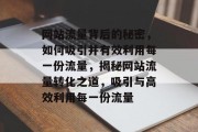 网站流量背后的秘密，如何吸引并有效利用每一份流量，揭秘网站流量转化之道，吸引与高效利用每一份流量